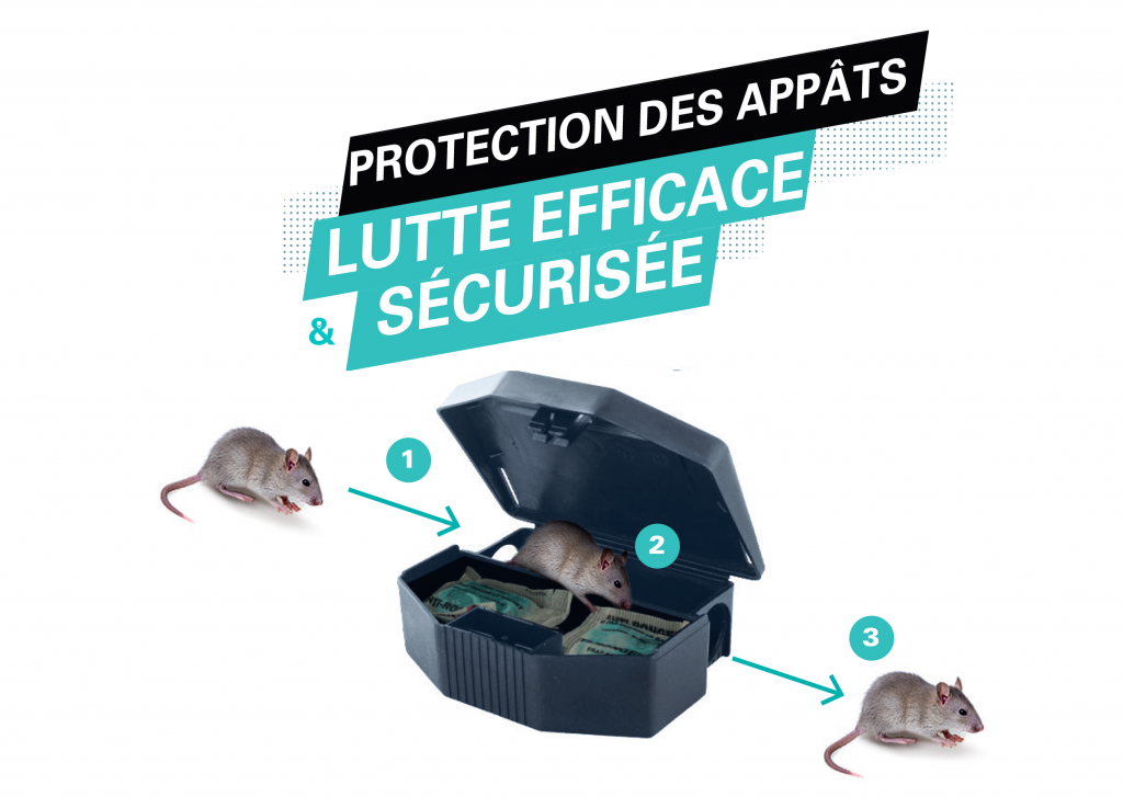 2 Piège À Rats Et Souris Professionnel - Boîte Appât Rats Et Souris, Station D